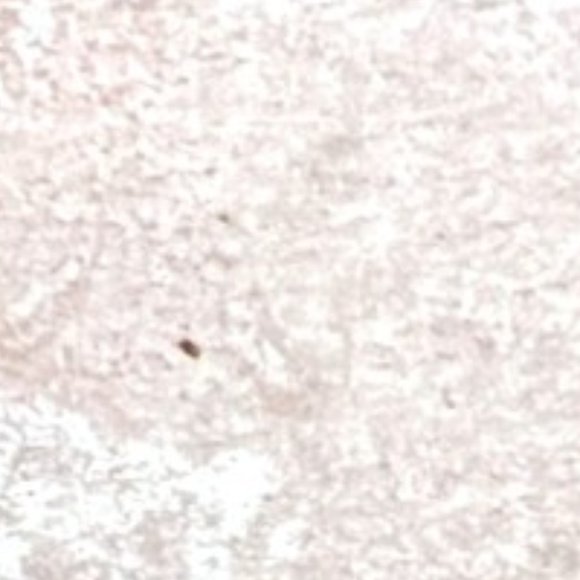 TOZAI HOME Hand-Blown Art Glass Candle Holder Small Vase Pink, White, Clear 5x4 - Picture 9 of 10